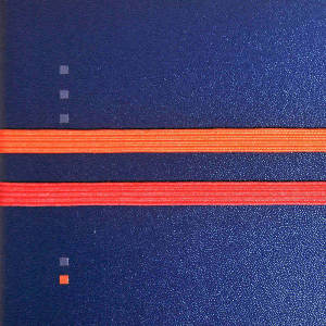 Red orange elastic band